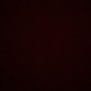 American Eagle next level pants NOT FOR SALE